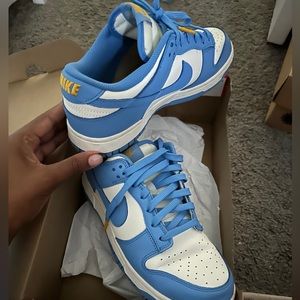 Womens Dunk Low Coast